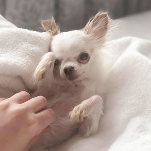 Meet your Posher, Ania